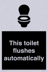 This toilet flushes automatically